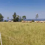 Luxusní Blonde Farm * Slavetin