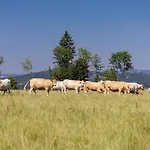 Luxusní Blonde Farm Slavetin