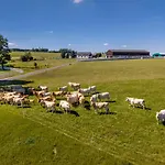 Luxusní Blonde Farm *