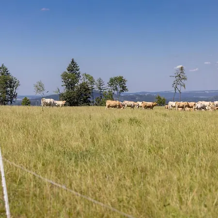 Luxusni Blonde Farm * Slavetin