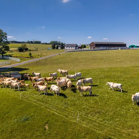 Luxusni Blonde Farm *