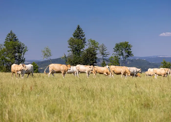 Luxusni Blonde Farm Slavetin
