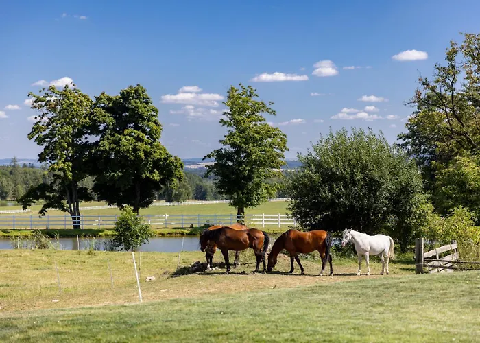 Διαμέρισμα Luxusni Blonde Farm Slavetin