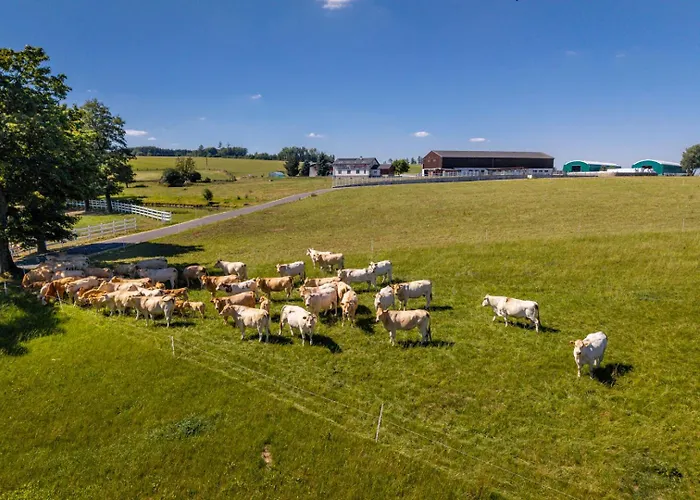Luxusni Blonde Farm *